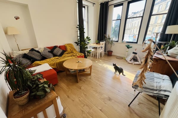 House sit in Glasgow, United Kingdom
