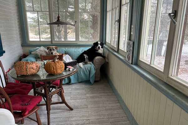 House sit in Hemmingford, QC, Canada