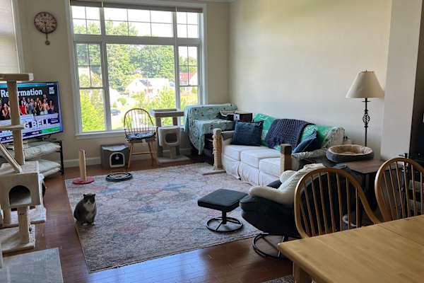 House sit in Woburn, MA, US