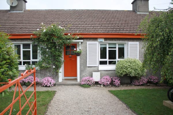 House sit in Bray, Ireland