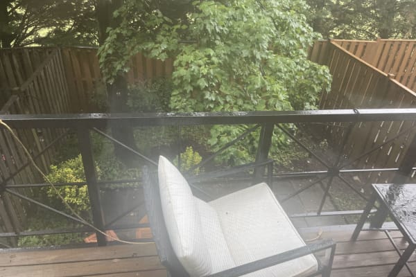 House sit in Washington, D.C., Washington, D.C., US