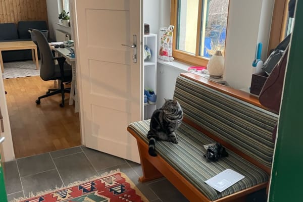 House sit in Vienna, Austria