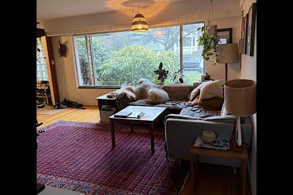 House sit in Vancouver, BC, Canada