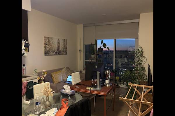 House sit in Toronto, ON, Canada