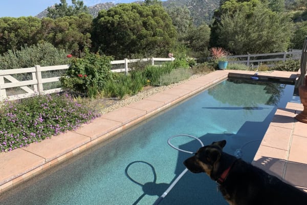 House sit in Murrieta, CA, US