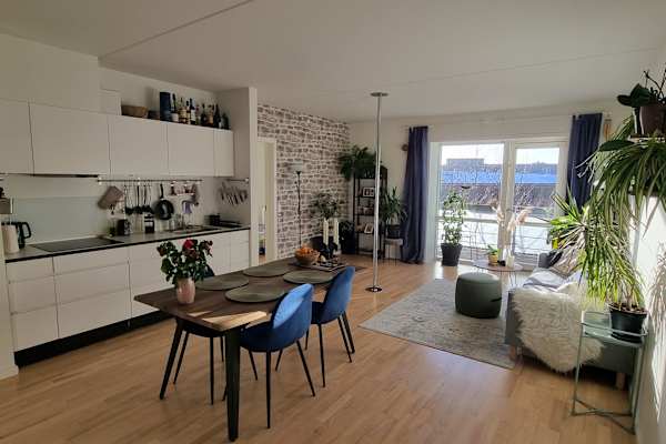 House sit in Copenhagen, Denmark