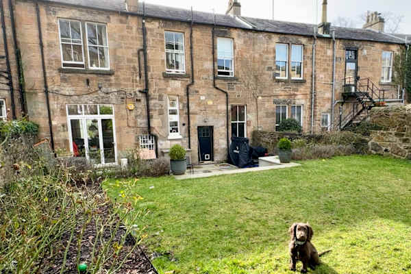 House sit in Glasgow, United Kingdom