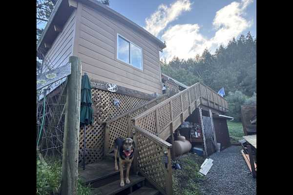 House sit in Woodacre, CA, US