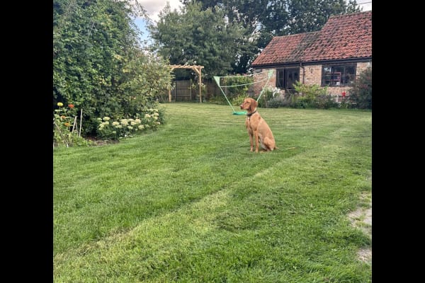 House sit in Fakenham, United Kingdom