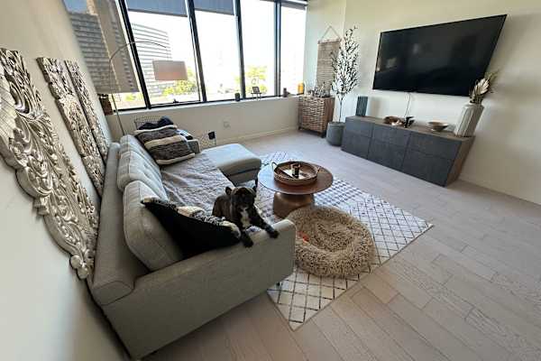 House sit in New York City, NY, US