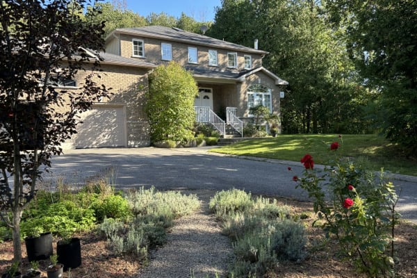 House sit in Orillia, ON, Canada
