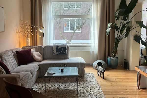 House sit in Amsterdam, Netherlands