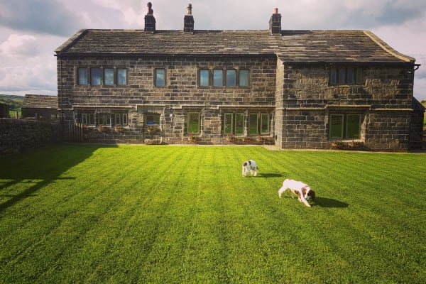 House sit in Hebden Bridge, United Kingdom
