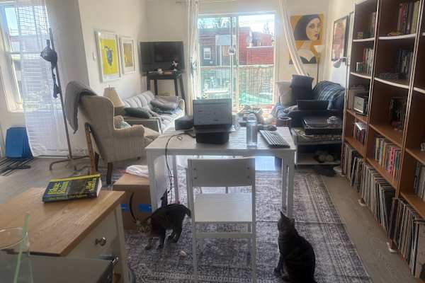 House sit in Montréal, QC, Canada