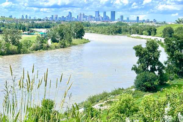 House sit in Calgary, AB, Canada