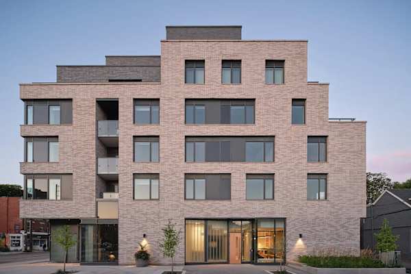 House sit in Toronto, ON, Canada