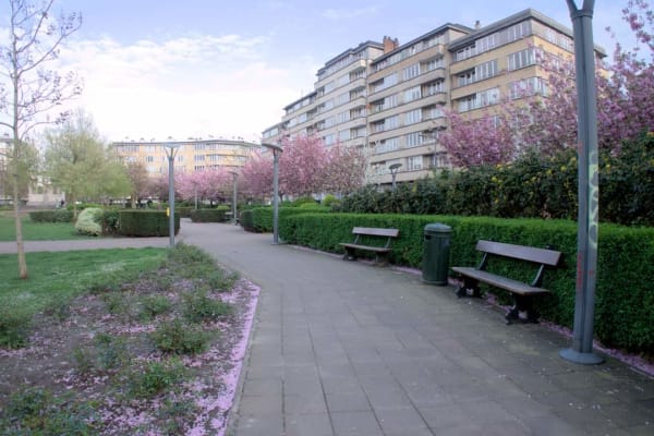 House sit in Etterbeek, Belgium