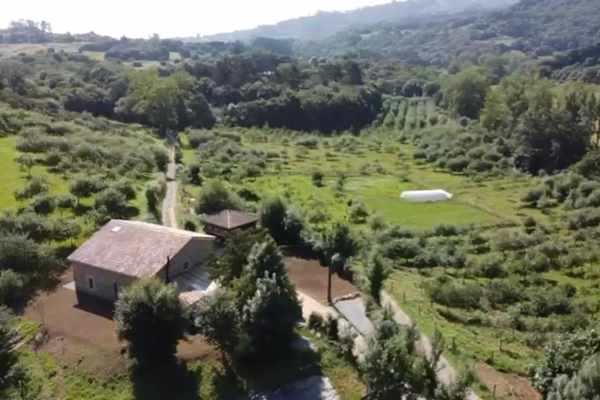 House sit in Oviedo, Spain