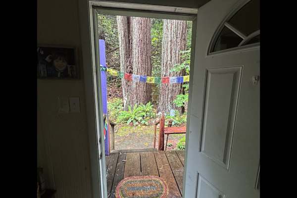 House sit in Nicasio, CA, US