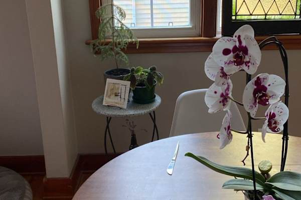 House sit in Leamington, ON, Canada