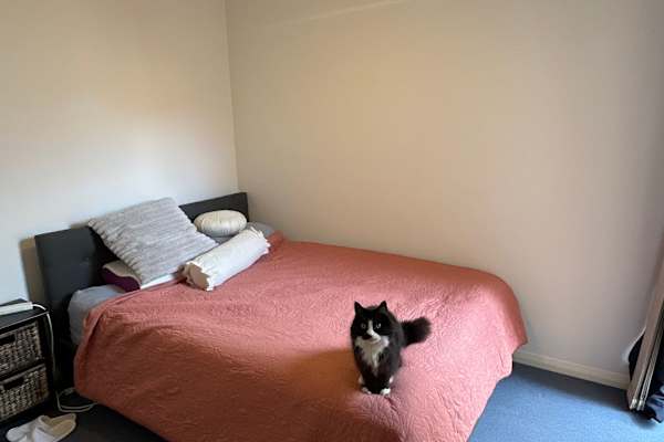 House sit in Joondalup, WA, Australia