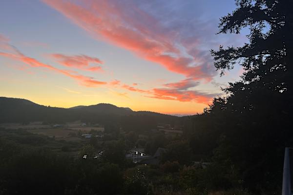 House sit in Victoria, BC, Canada