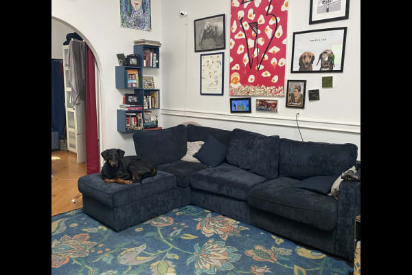 House sit in San Francisco, CA, US