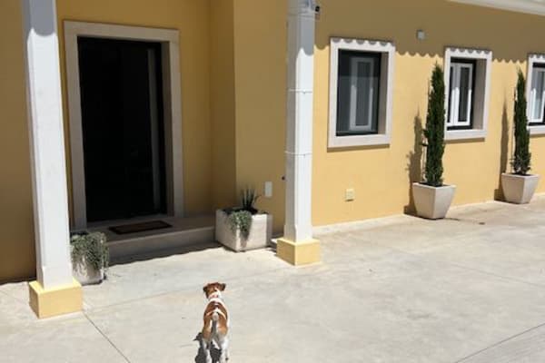 House sit in Tomar, Portugal