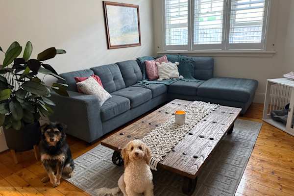 House sit in Sydney, NSW, Australia