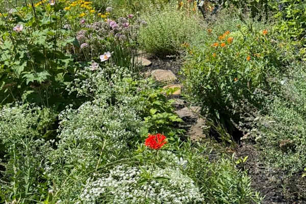 House sit in Orient, NY, US