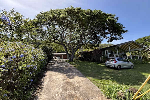 House sit in Hale‘iwa, HI, US