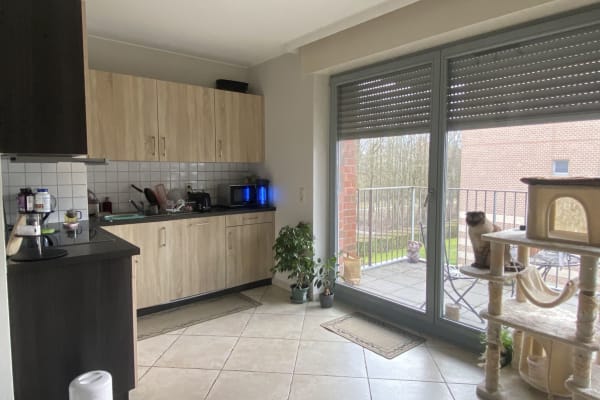 House sit in Kirchberg, Luxembourg