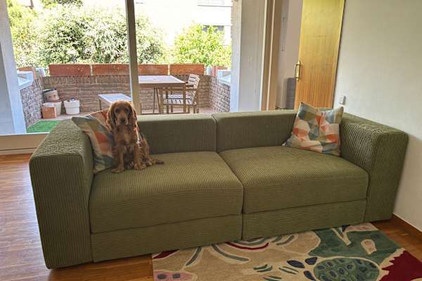 House sit in Barcelona, Spain