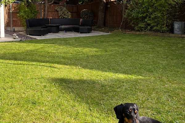 House sit in Bourne End, United Kingdom