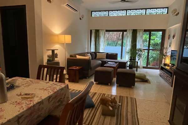 House sit in Delhi, India