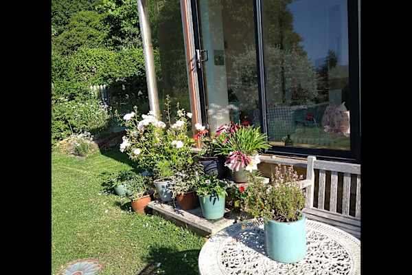 House sit in Crewkerne, United Kingdom