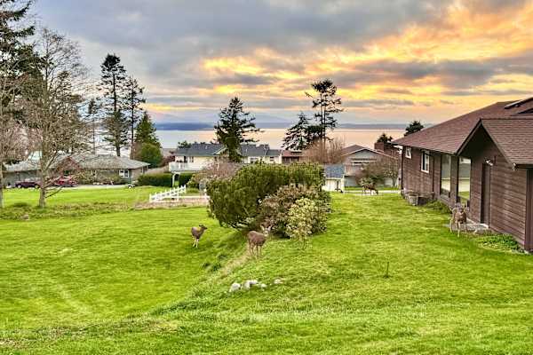 House sit in Coupeville, WA, US