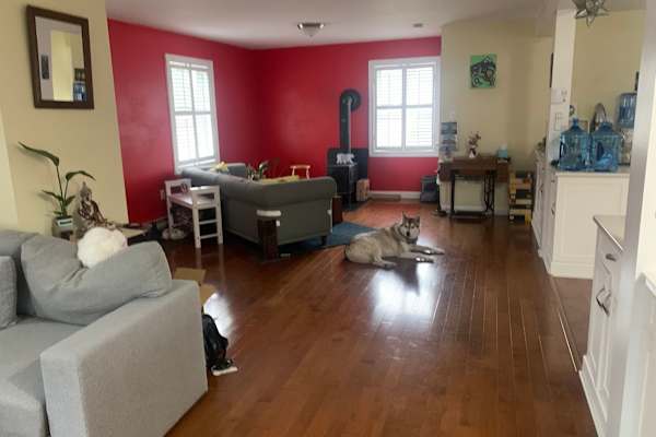 House sit in Deans Corner, NS, Canada