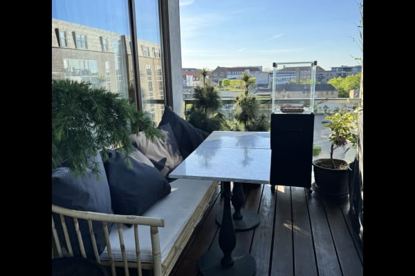 House sit in Copenhagen, Denmark