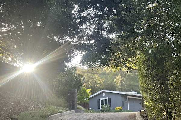 House sit in Lafayette, CA, US