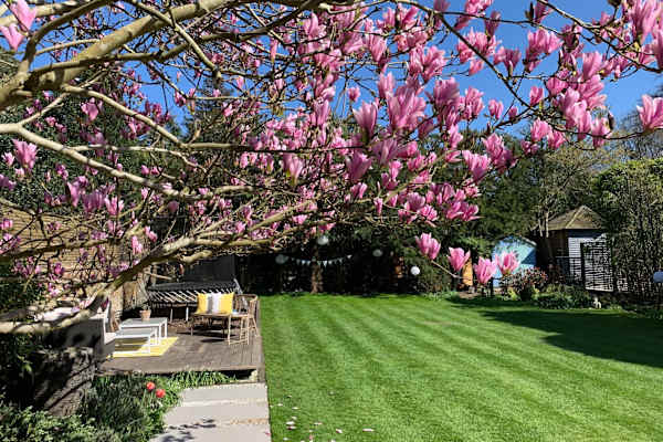 House sit in Richmond, United Kingdom