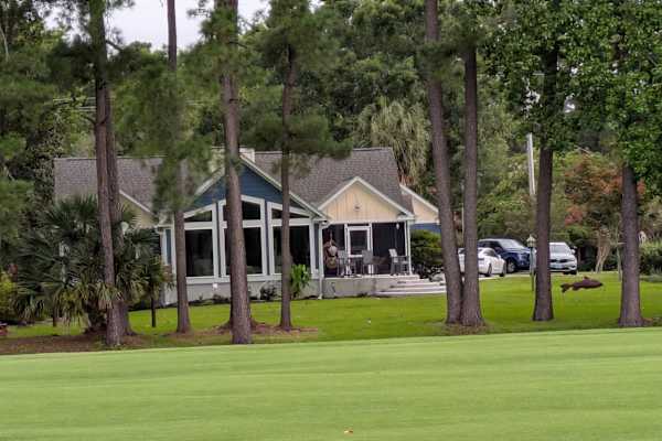 House sit in Pawleys Island, SC, US