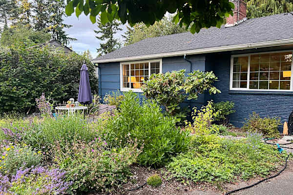 House sit in Shoreline, WA, US