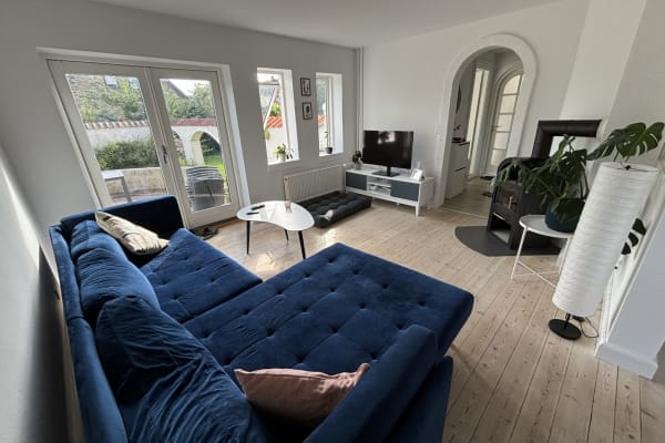 House sit in Odense, Denmark
