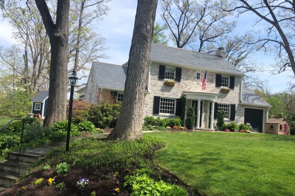 House sit in Alexandria, VA, US