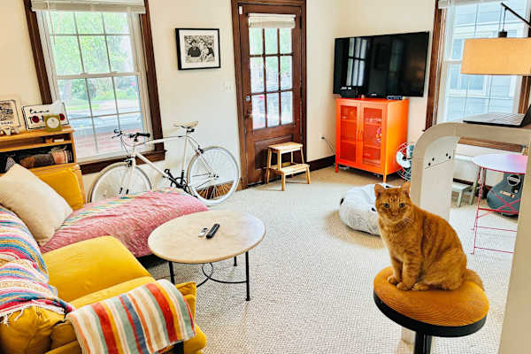 House sit in Arlington, VA, US