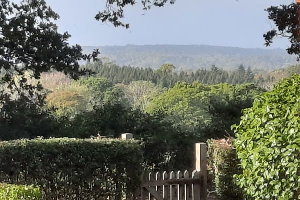 House sit in Royal Tunbridge Wells, United Kingdom