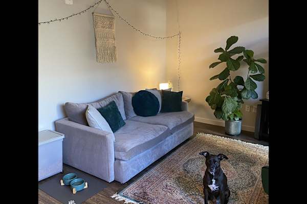 House sit in Atlanta, GA, US