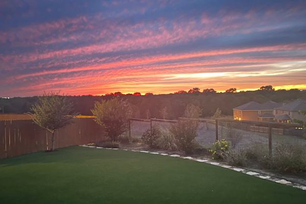 House sit in Austin, TX, US