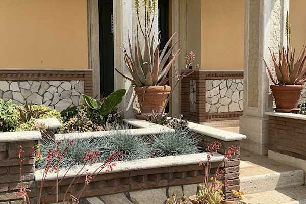House sit in Frosinone, Italy